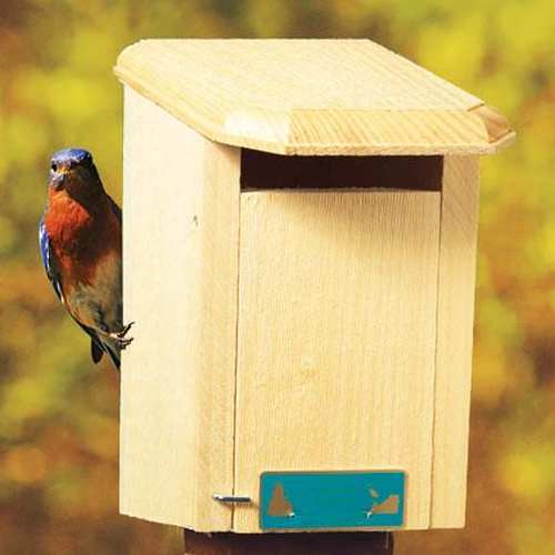 Bluebird House Sparrow Resistant