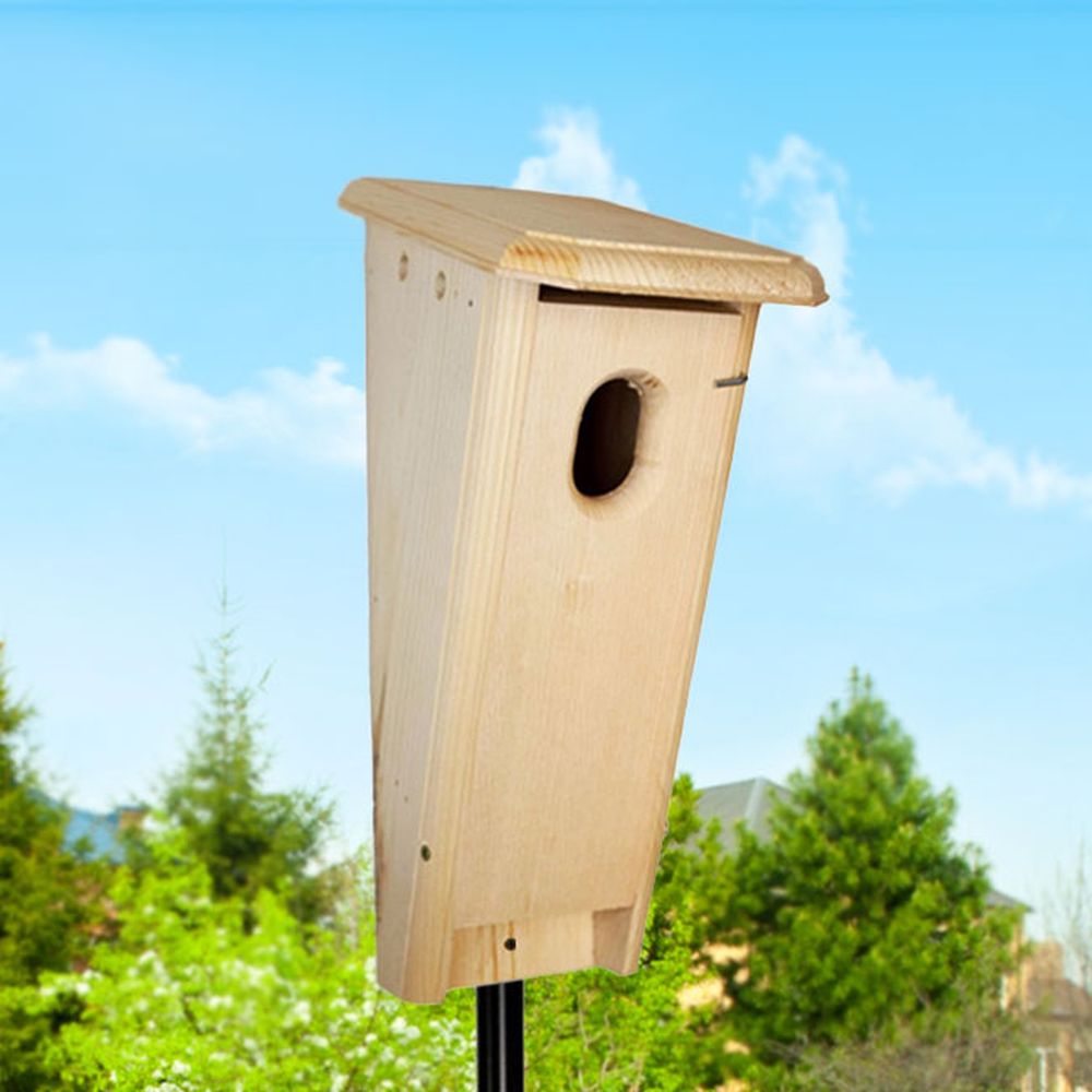 Conservation Peterson Slant Front Bluebird House