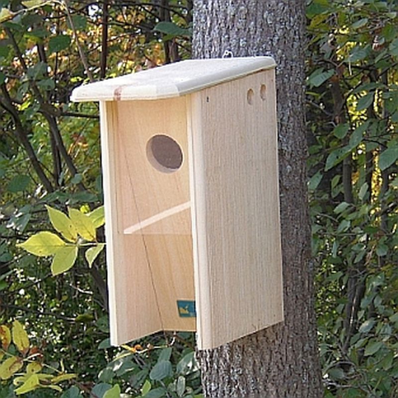 Conservation Starling-Resistant Flicker House