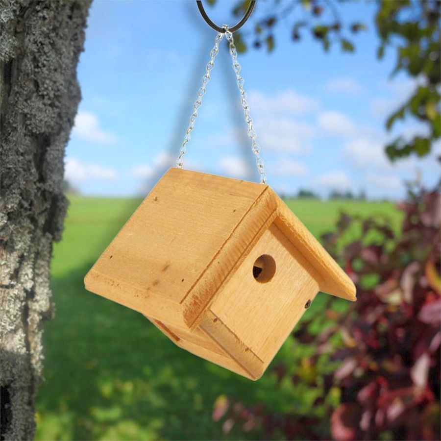 Conservation Hanging Wren House