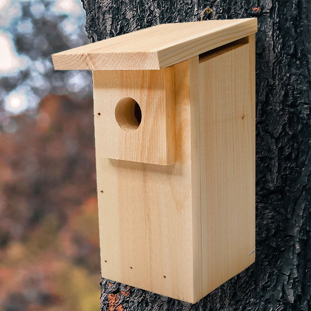 Conservation Eastern Bluebird House DIY Kit