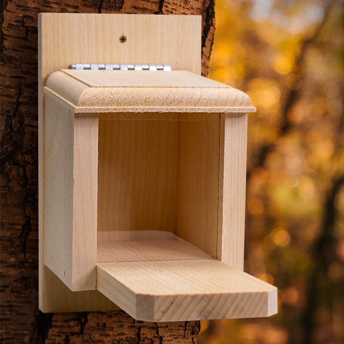 Conservation Peanut Box Squirrel Feeder