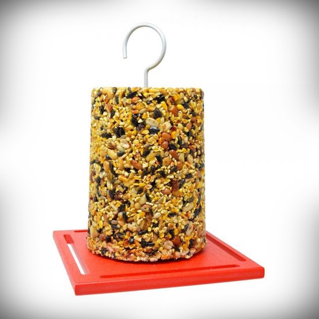 Recycled Plastic Large Red Seed Cylinder Feeder