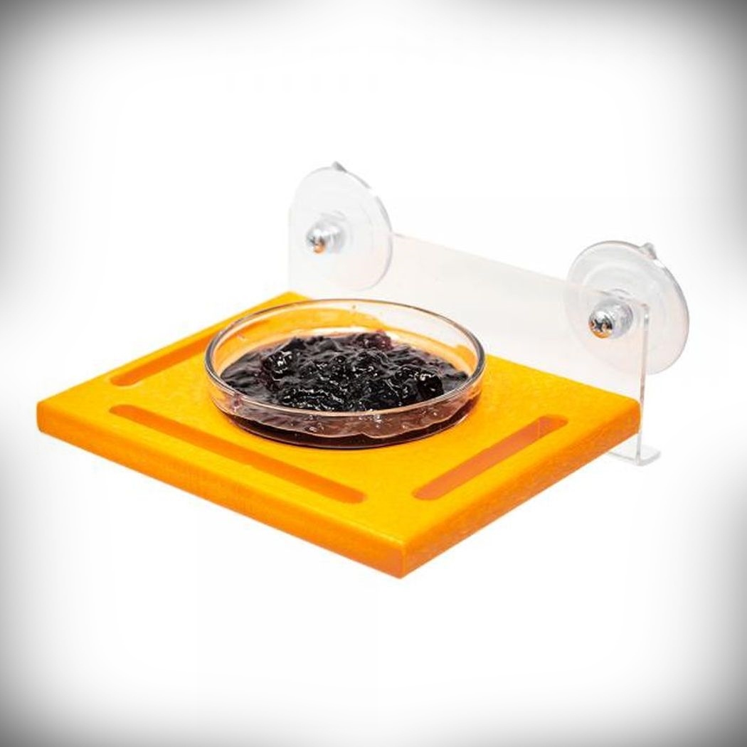 Recycled Poly Orange Window Jelly Feeder