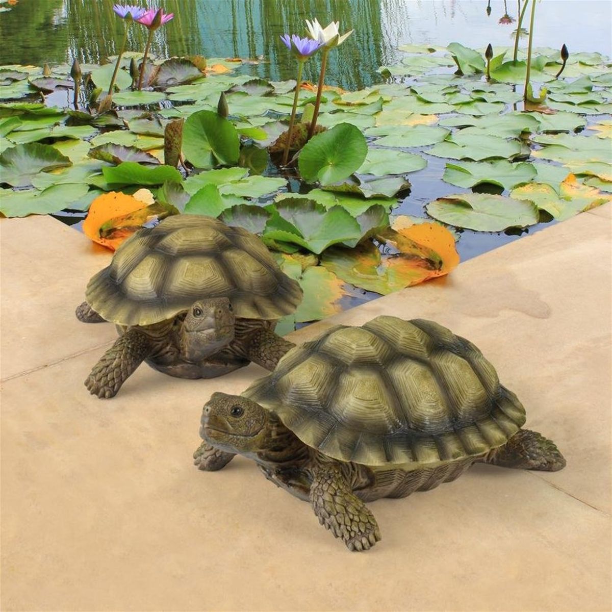 Gilbert the Box Turtle Statue Set of 2