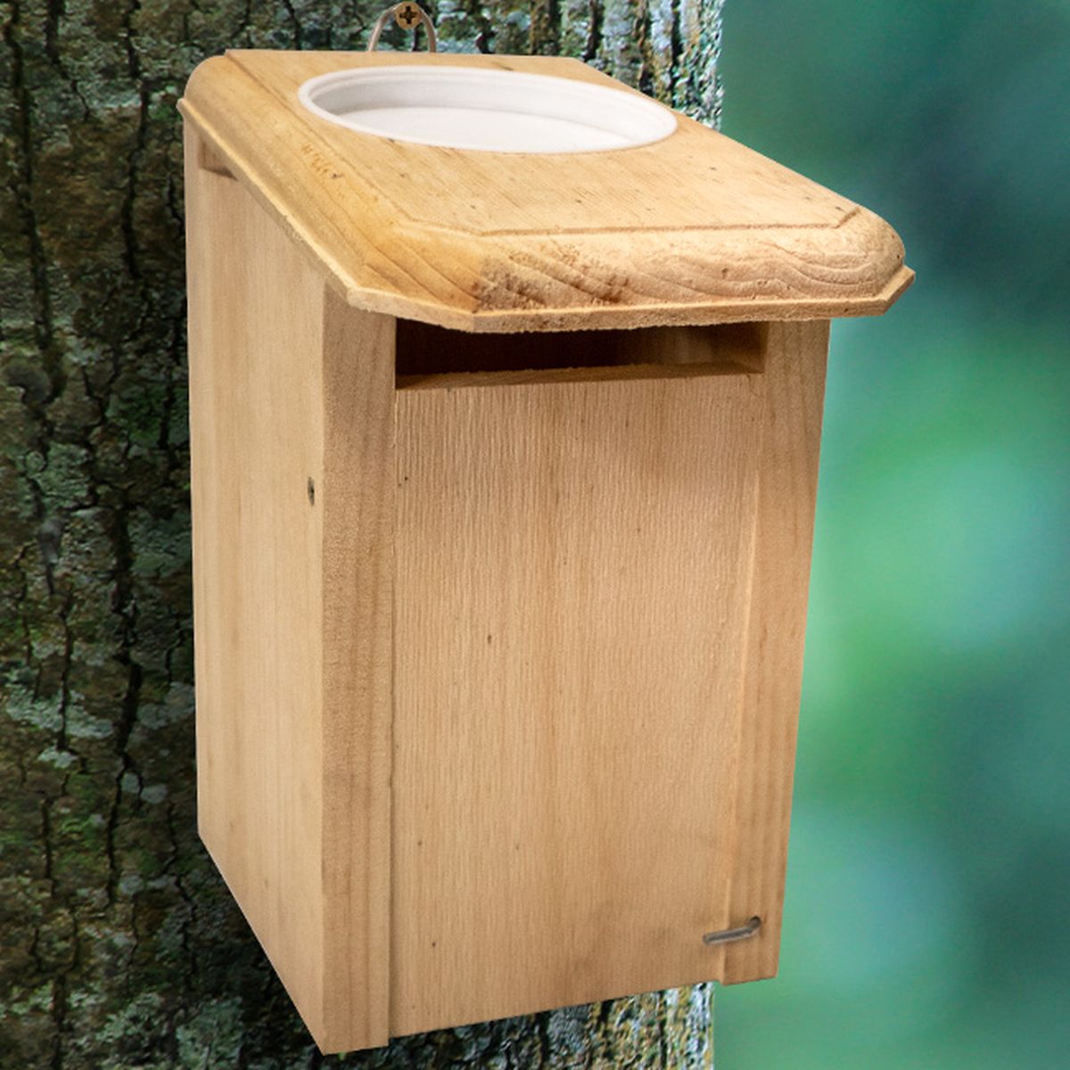 Sparrow Resistant Bluebird House with Open Top