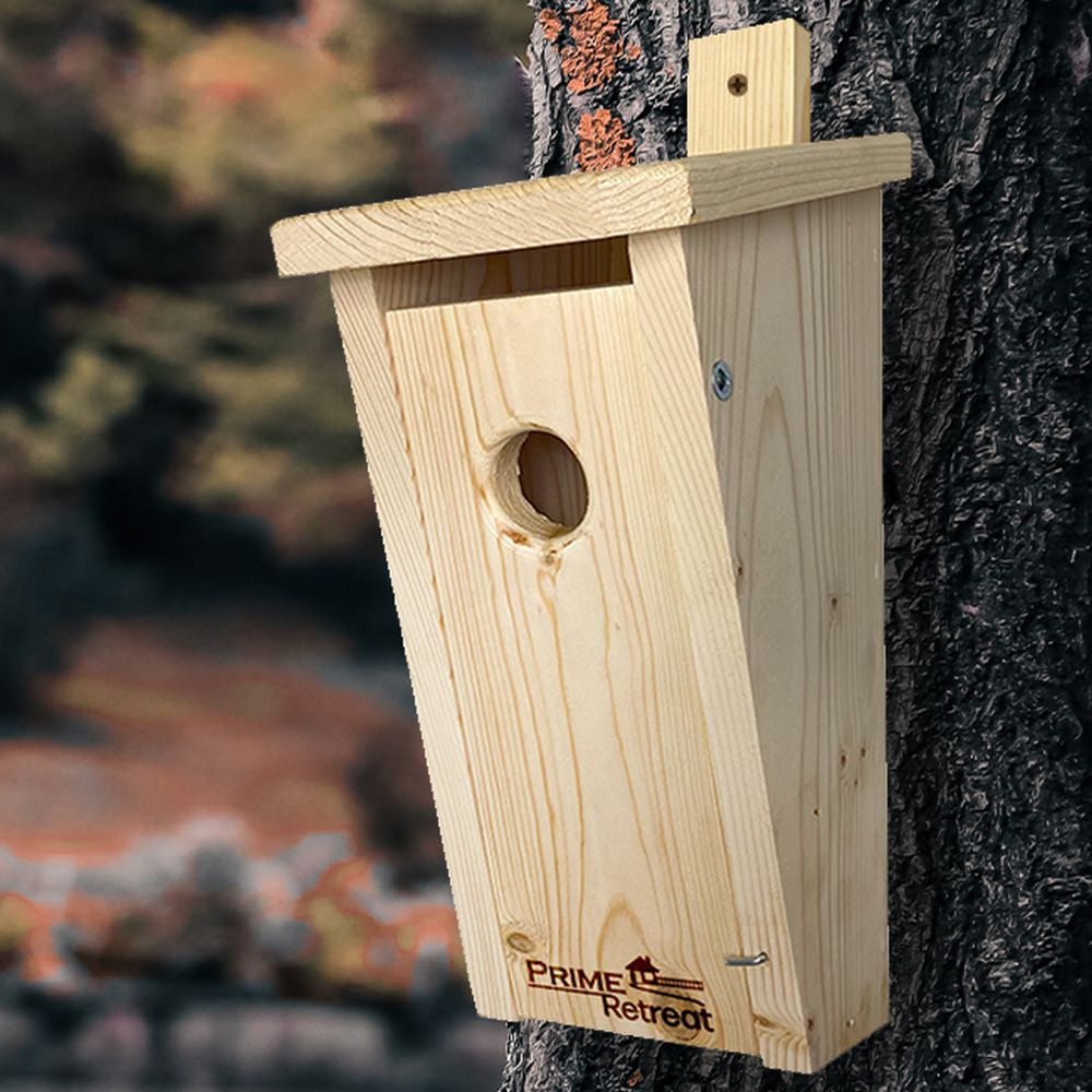 Prime Peterson Slant Front Bluebird House