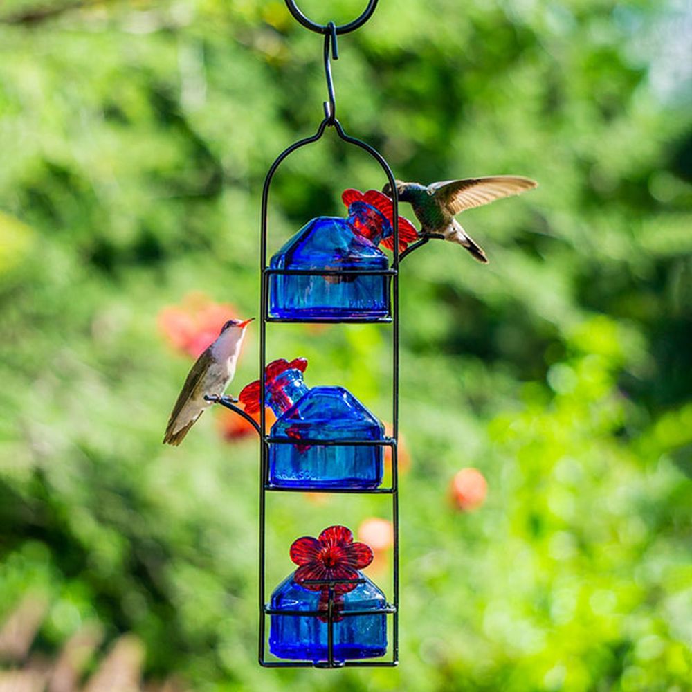 Parasol Lunch Pail Hummingbird Feeder Blue