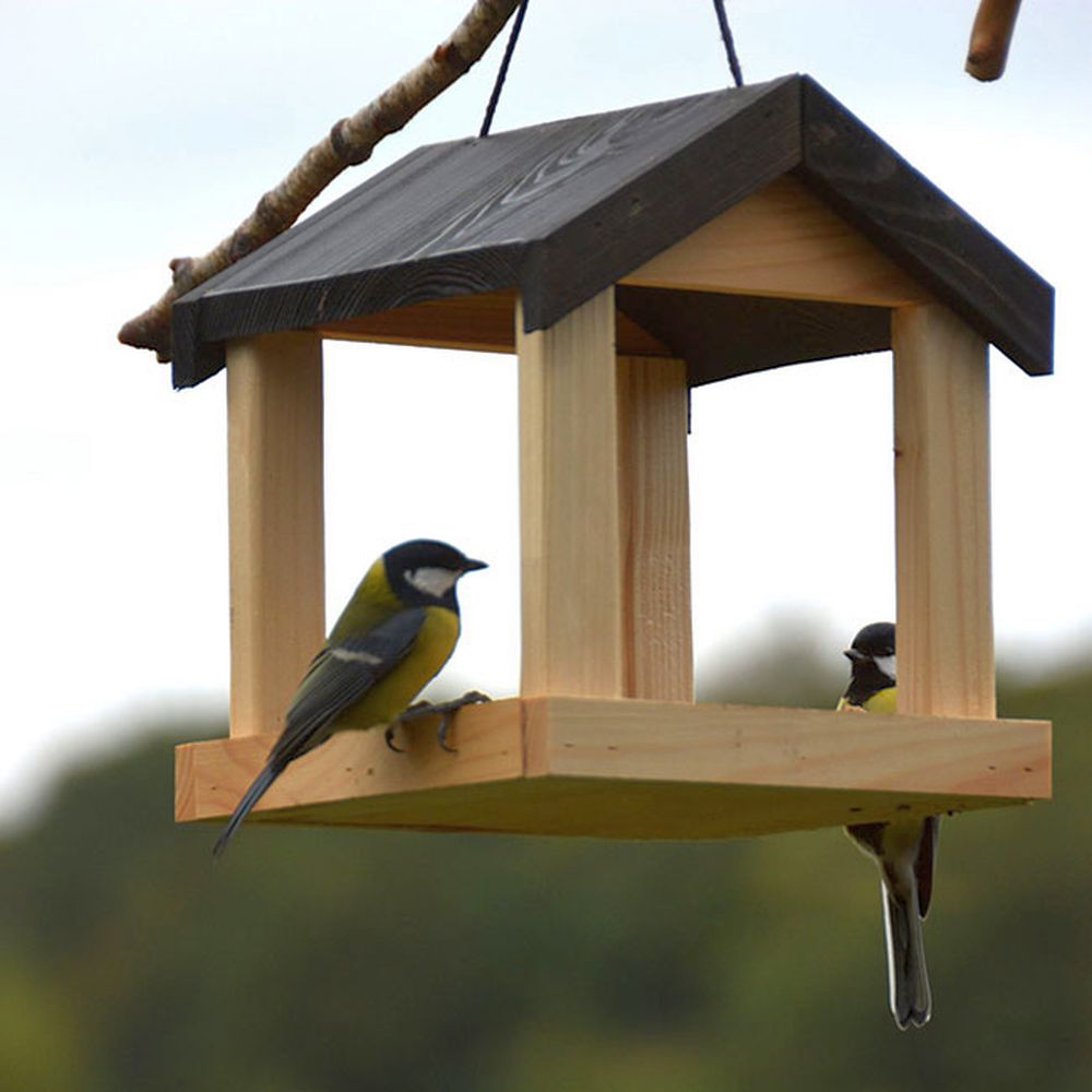 Best For Birds Fly-Through Hanging Platform Feeder