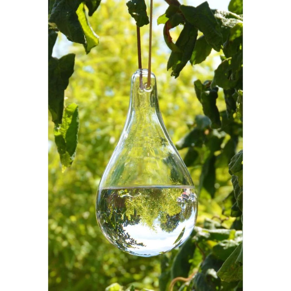Teardrop Glass Bulb Fly Deterrent