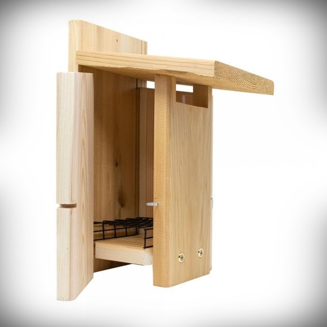 Ultimate Sparrow Resistant Cedar Bluebird House