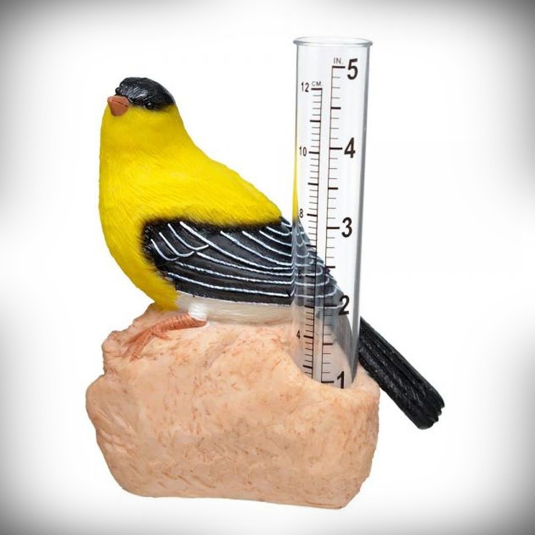 Goldfinch Rain Gauge