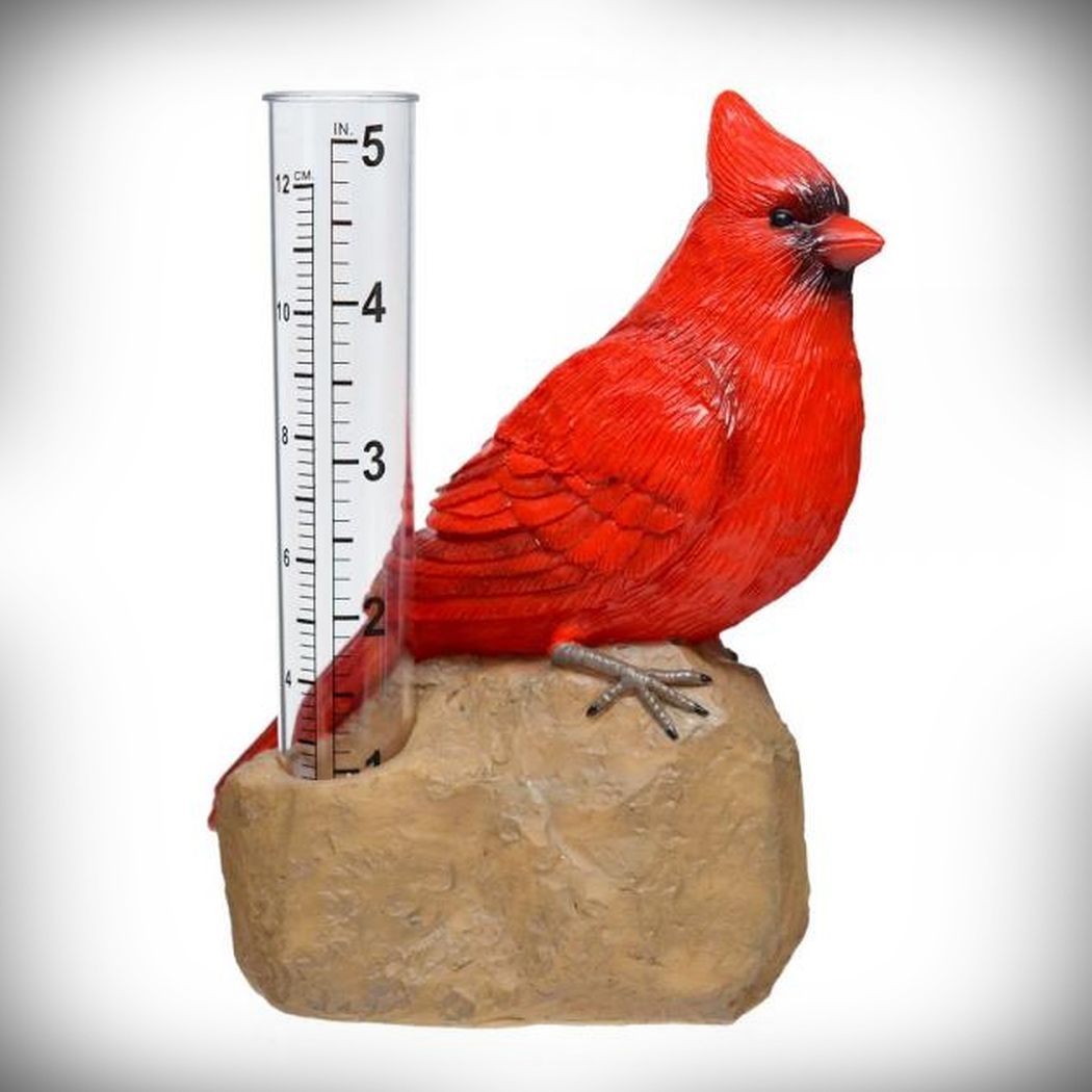 Cardinal Rain Gauge