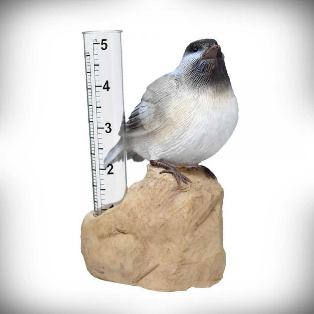 Chickadee Rain Gauge