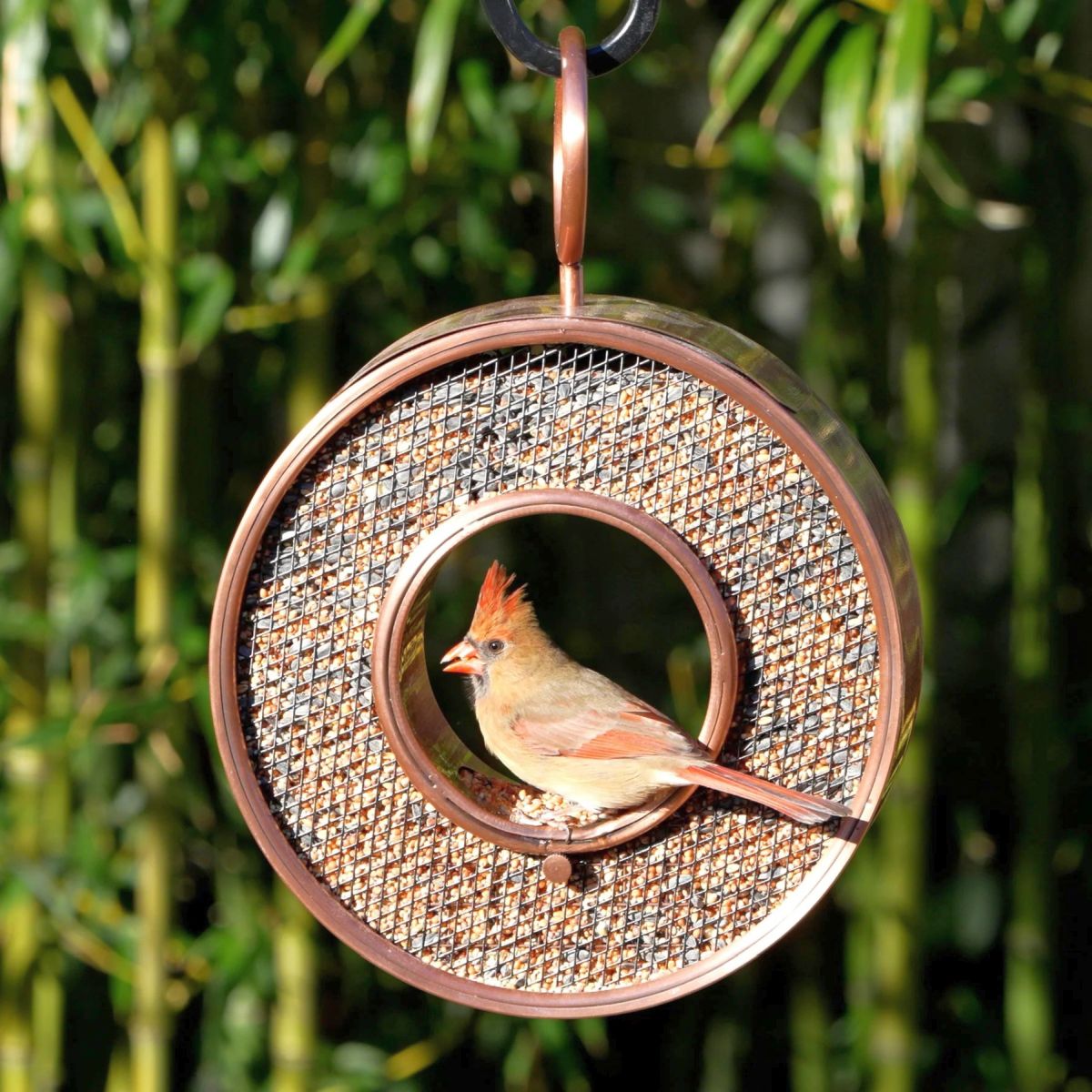 Fly-Through Circle Mesh Bird Feeder Copper