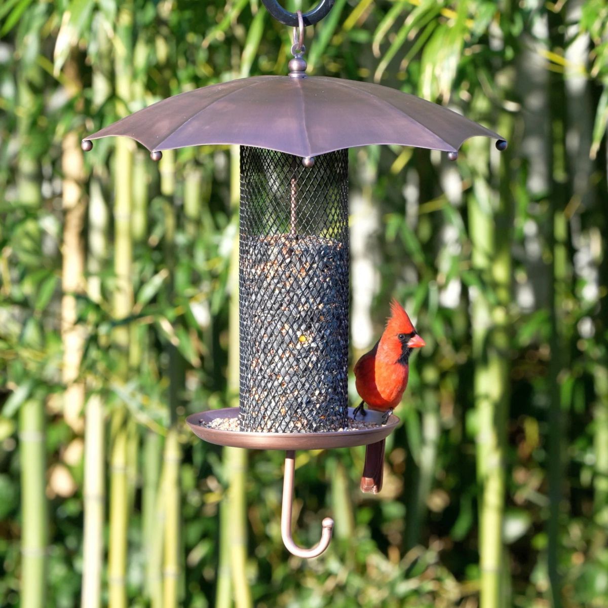 Rainy Day Umbrella Mesh Bird Feeder