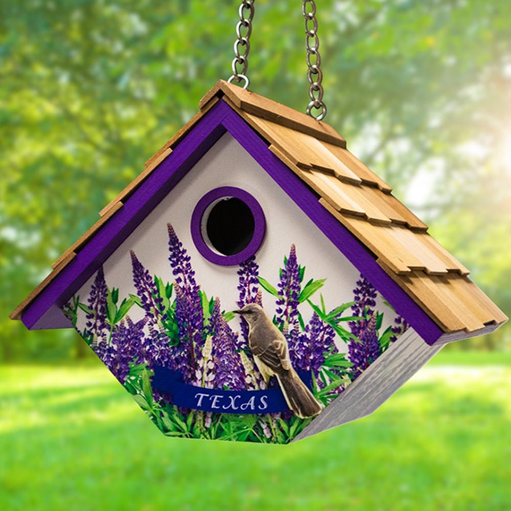 Texas Mockingbird and Bluebonnets Wren House