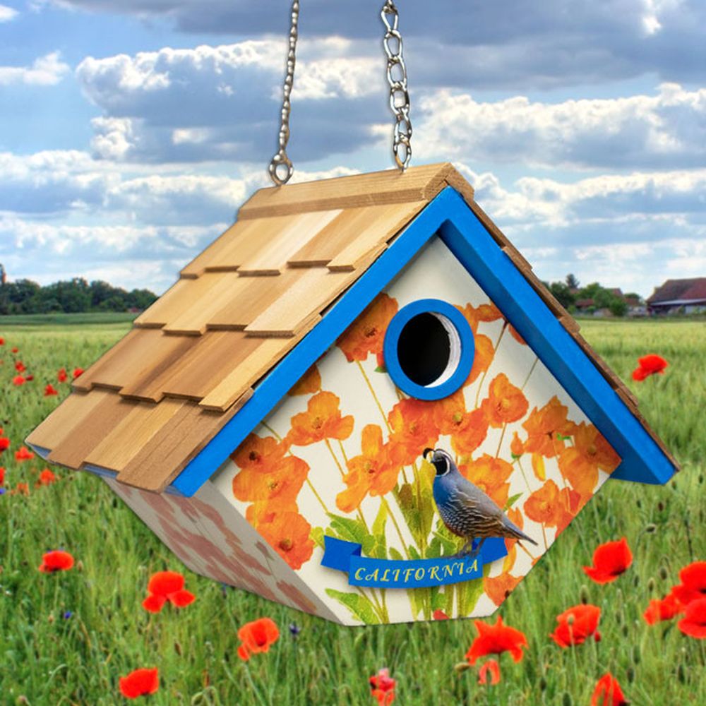 California Quail and Golden Poppy Wren House