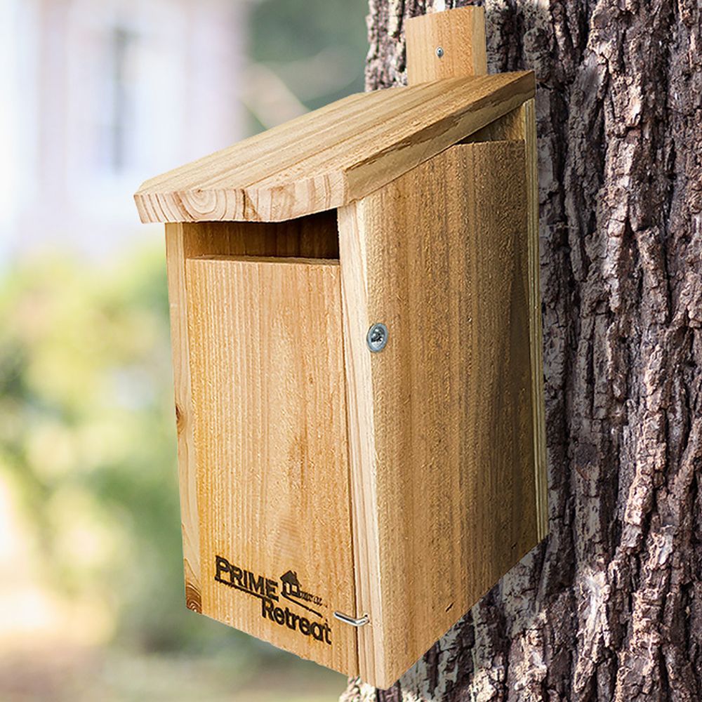 Prime Sparrow Resistant Cedar Eastern Bluebird Box
