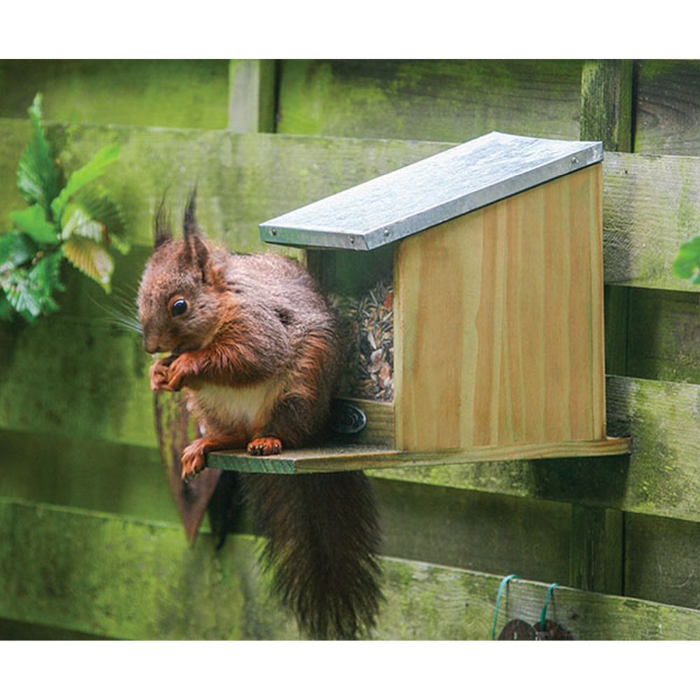 Best For Squirrels Munch Box Feeder