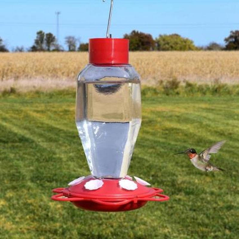 Glass Bottle Hummingbird Feeder 20 oz.