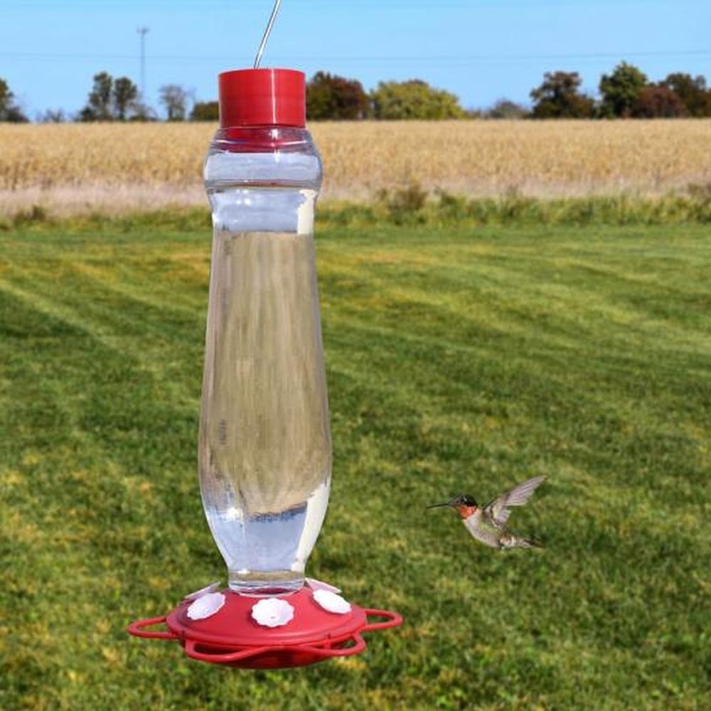 Glass Bottle Hummingbird Feeder 32 oz.