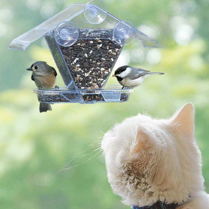 Apsects 155 Window Cafe Mount Bird Feeder Holds Variety of Seeds and Blends