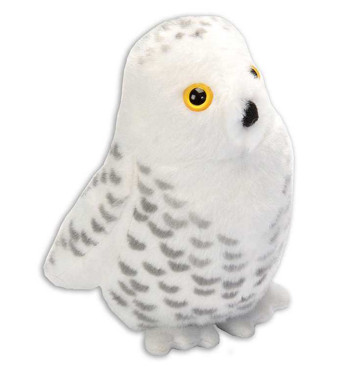 Audubon Birds - Snowy Owl