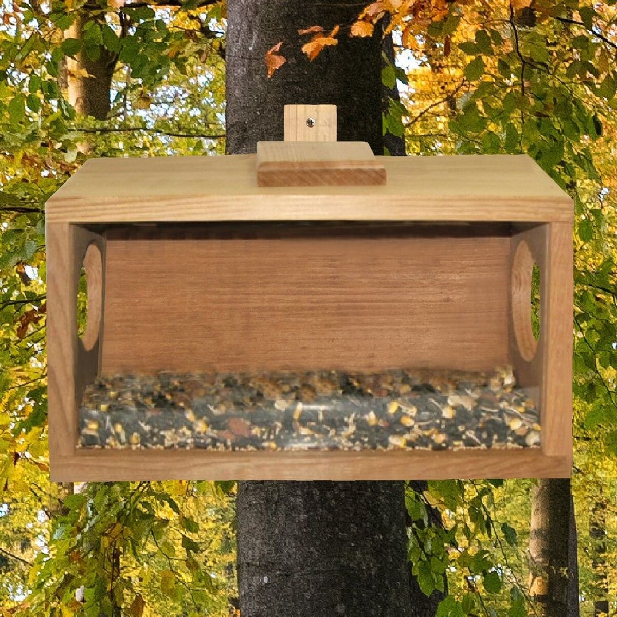 Munch N' View Squirrel Feeder