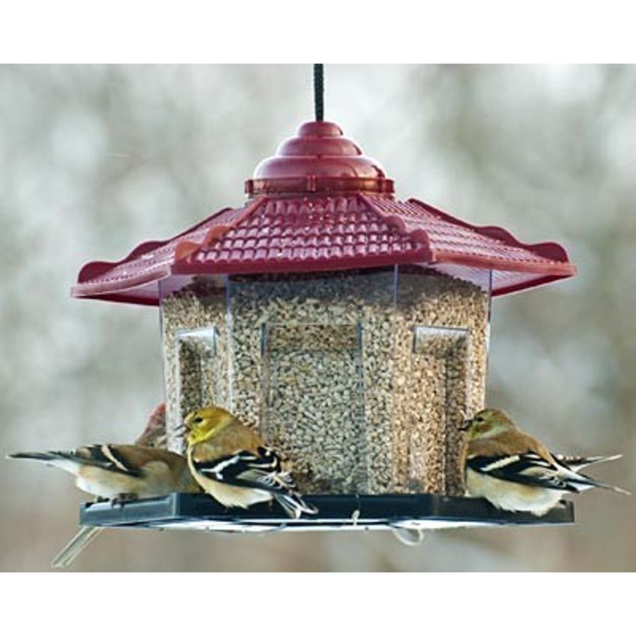 Audubon Gazebo Bird Feeder