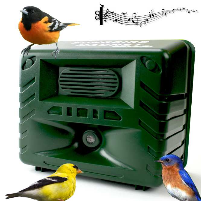 Songbird Magnet Bird Caller