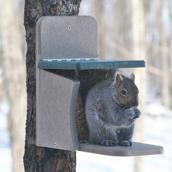 Second Nature Recycled Plastic Squirrel Munch Box