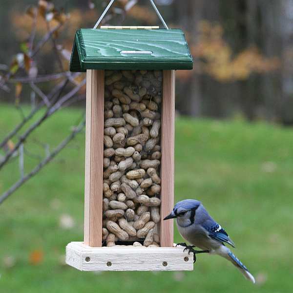 Aazon.co : Solar Bird Feeders House For Outside Hanging, Etal Wild