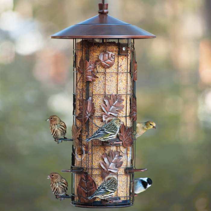 Perky Pet Squirrel Be Gone Iii Squirrel Proof Bird Feeder Quality