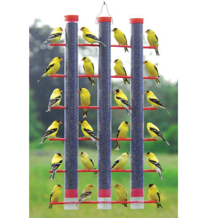 Finches Favorite 3-Tube Feeder Red