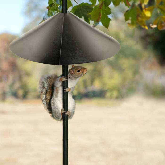 Audubon Wrap-Around Squirrel Baffle Black 18