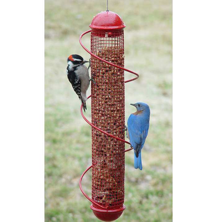 Bird Quest Twirl A Squirrel Electronic Bird Feeder Baffle