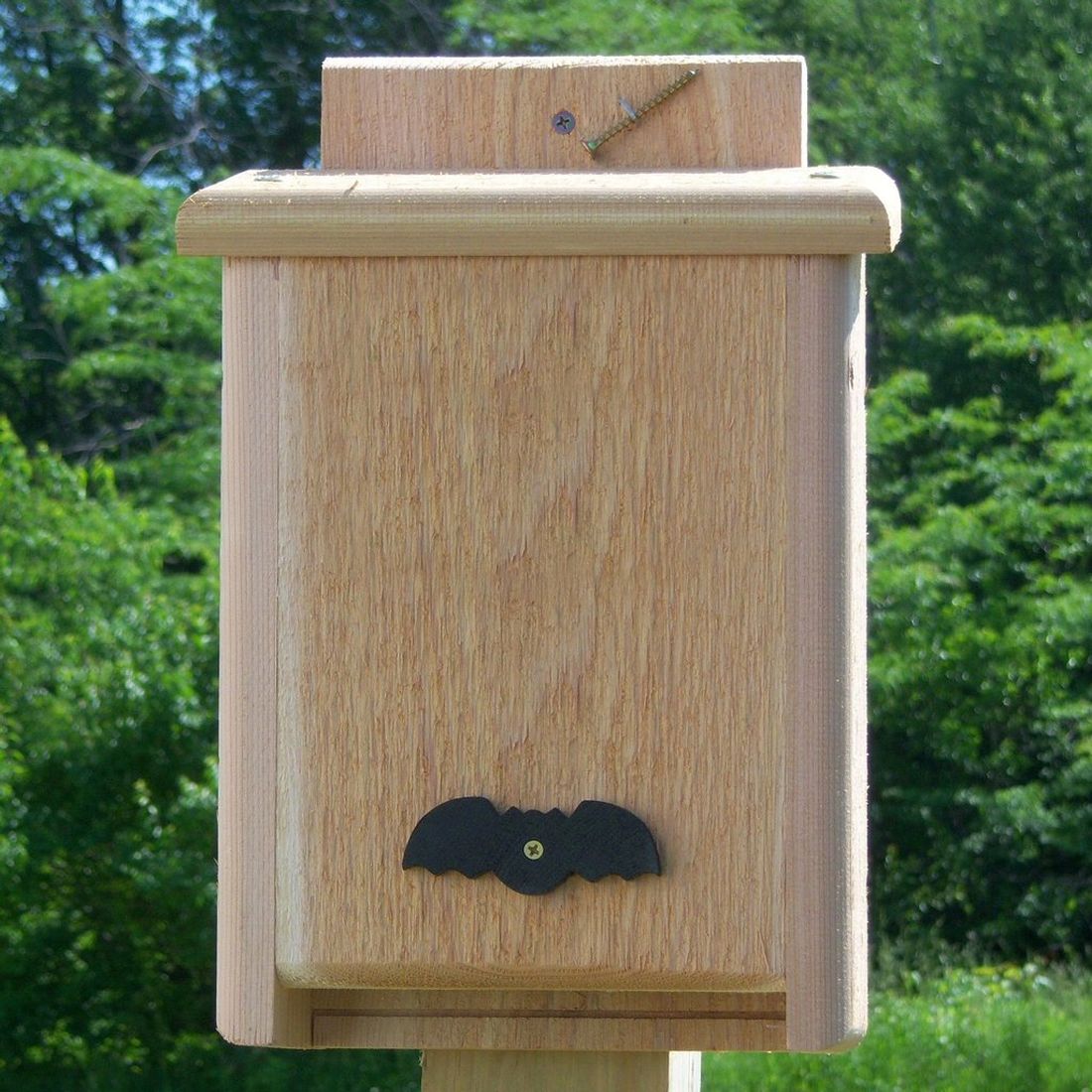 Songbird Cedar Single Compartment Bat House