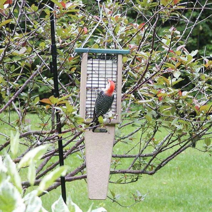 Second Nature Double Cake Pileated Suet Feeder