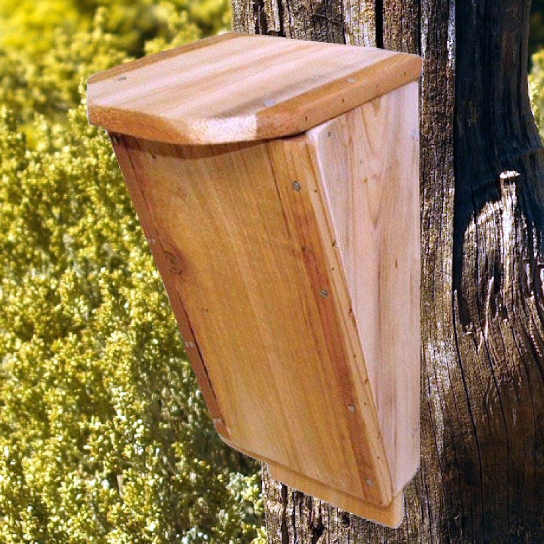 Build-it-Yourself Cedar Bat House Kit