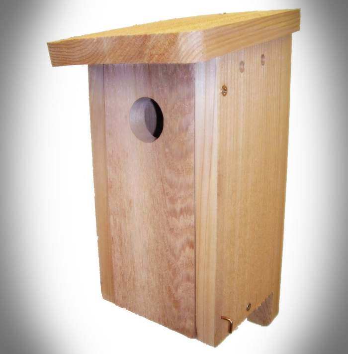 Songbird Nest Box Kit