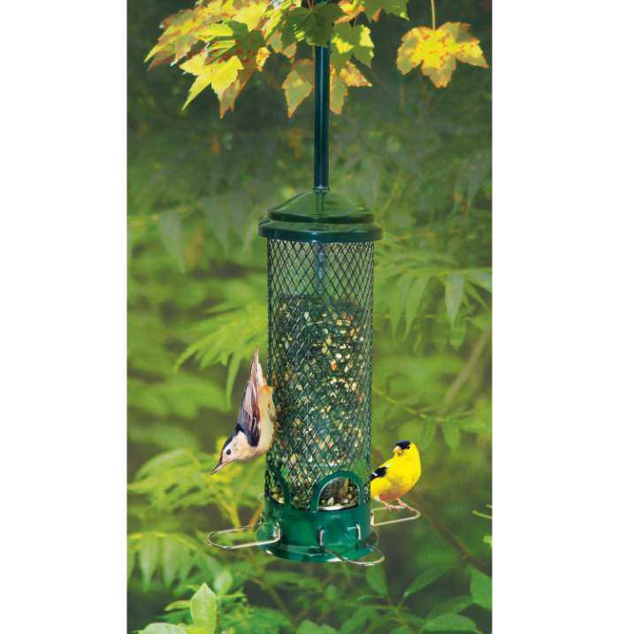 Squirrel Buster Mini Squirrel Proof Bird Feeder