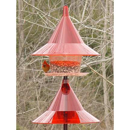 Sky Cafe Red Squirrel-Proof Feeder w/Pole Baffle