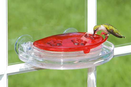 Hummingbird Window View Feeder Jewel Box Suction Cups Bird 