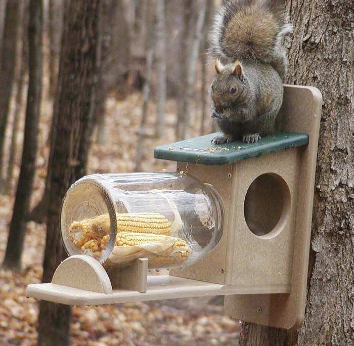 Second Nature Recycled Squirrel Jar Feeder
