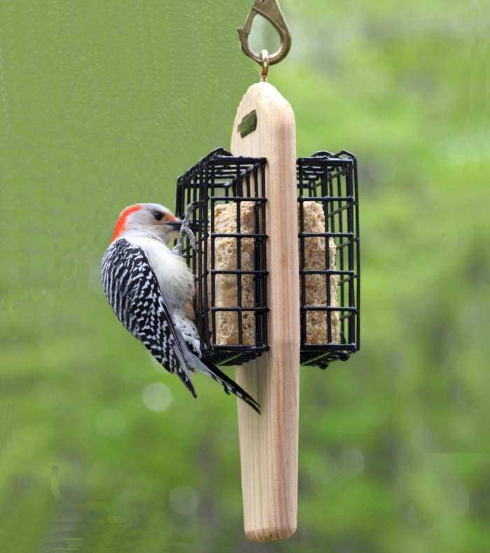 Wood Country Double Cake Hanging Suet Feeder