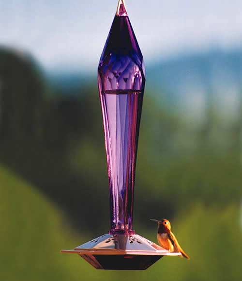 Schrodt Paradise Faceted Amethyst Hummingbird Feeder Glass Bottle