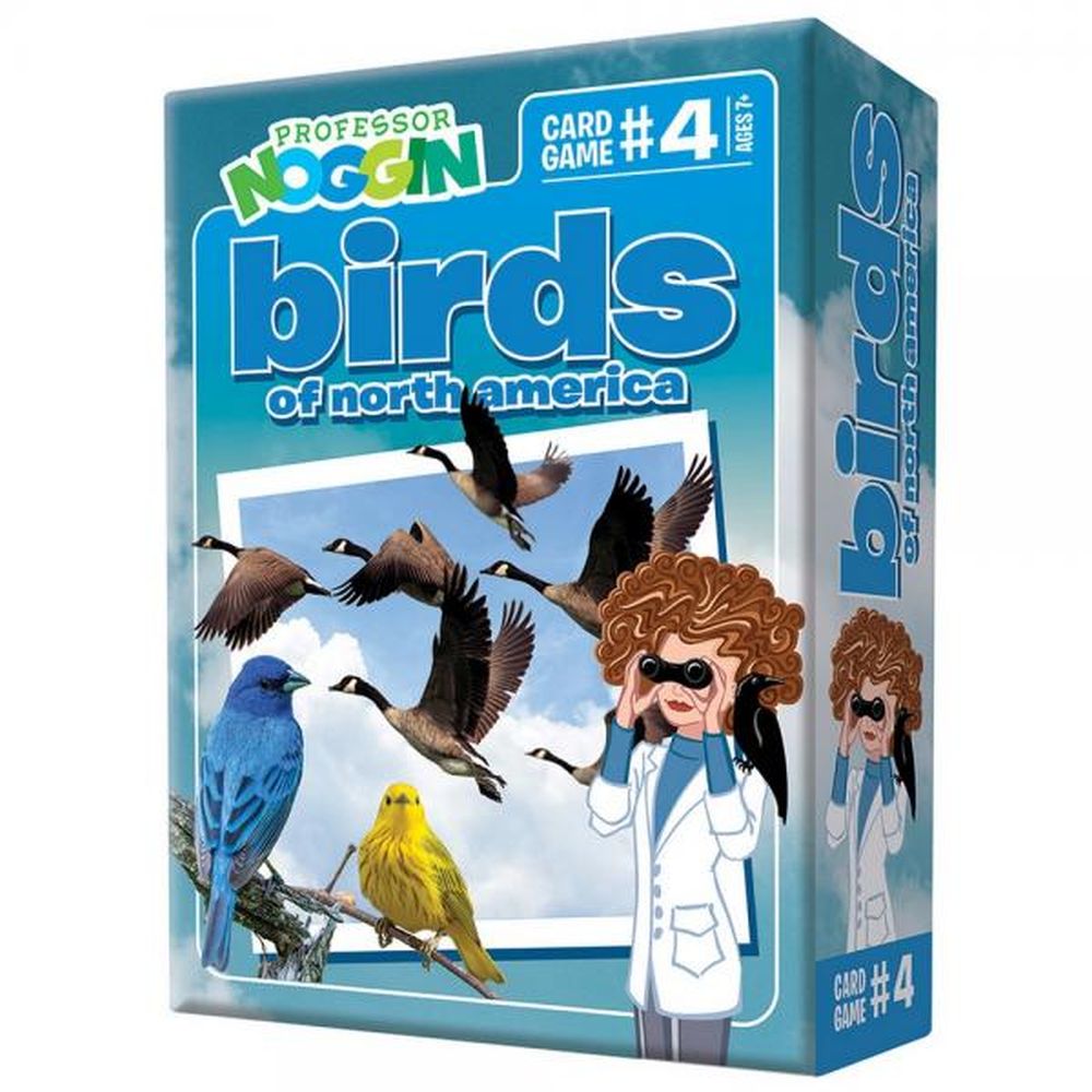 Professor Noggin's Birds of North America Game