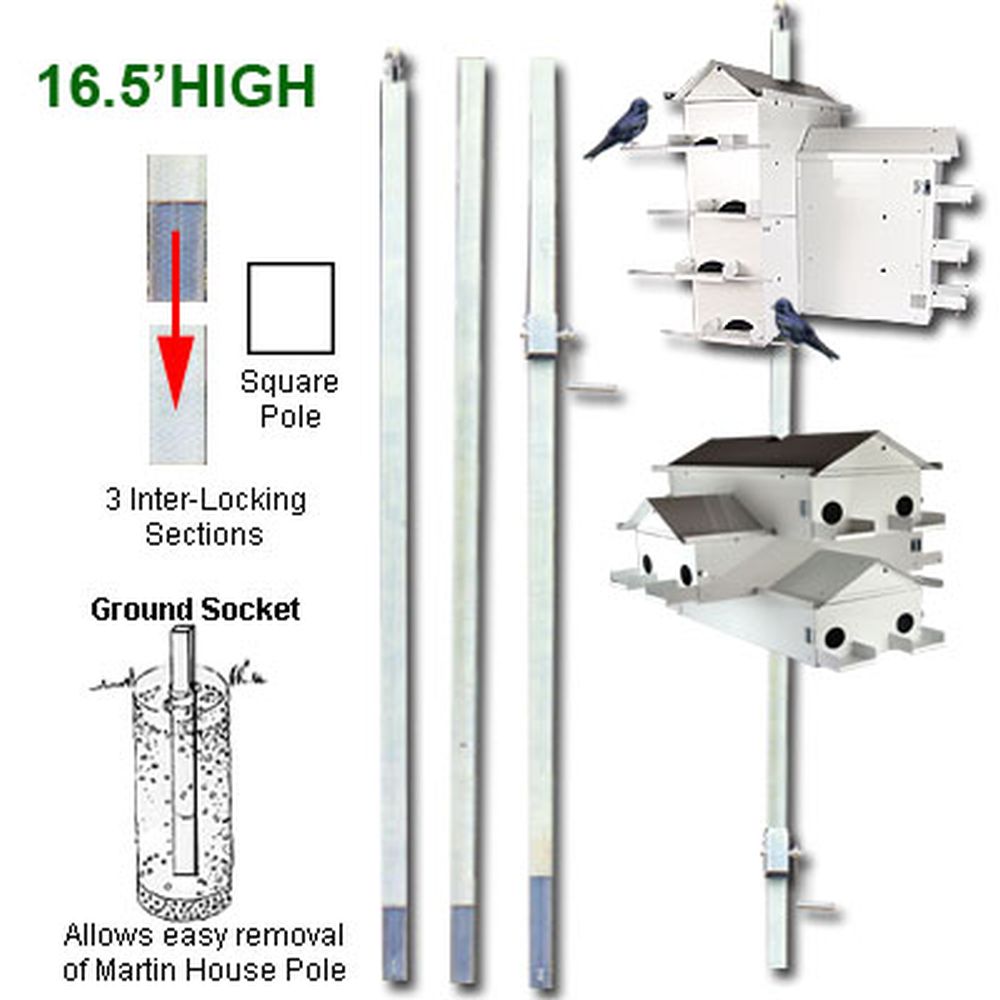 Lone Star Purple Martin House Pole System