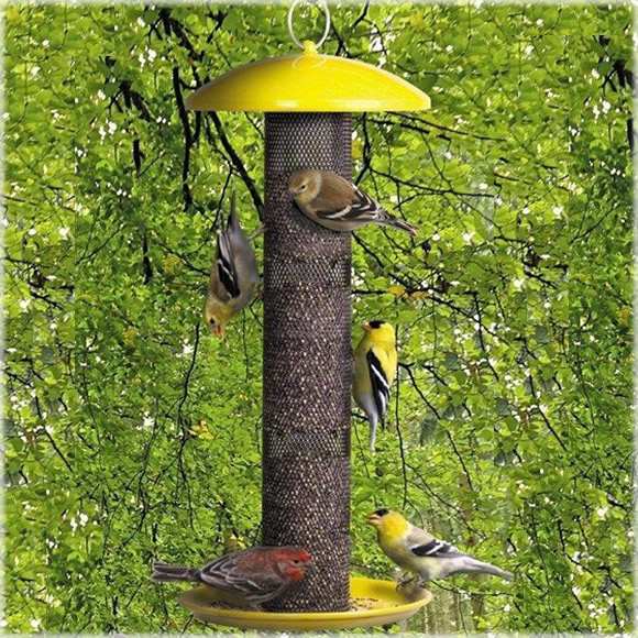 No/No Yellow Straight Sided Finch Feeder